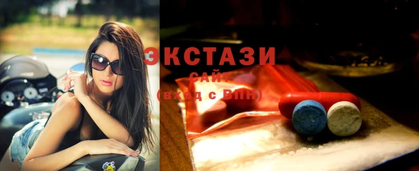 СК Вязьма
