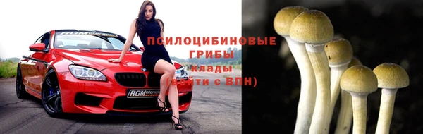 тгк Зарайск