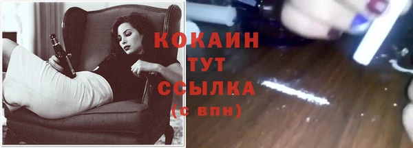 СК Вязьма