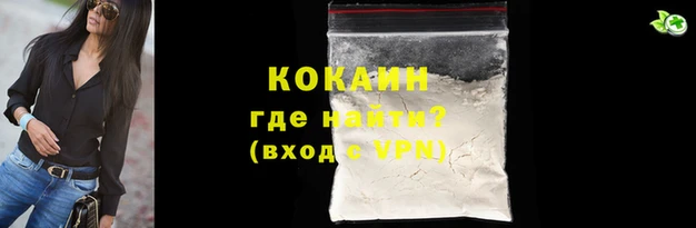 СК Вязьма
