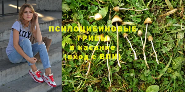 mdma Вяземский