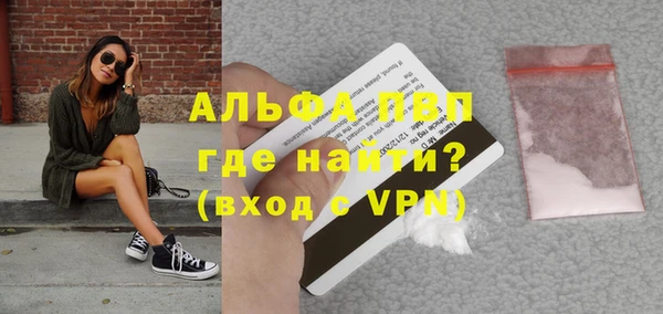 СК Вязьма